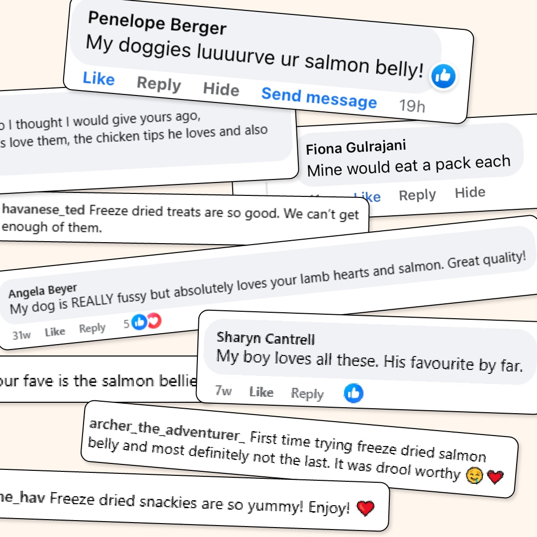 Dental Treats Value Bundle