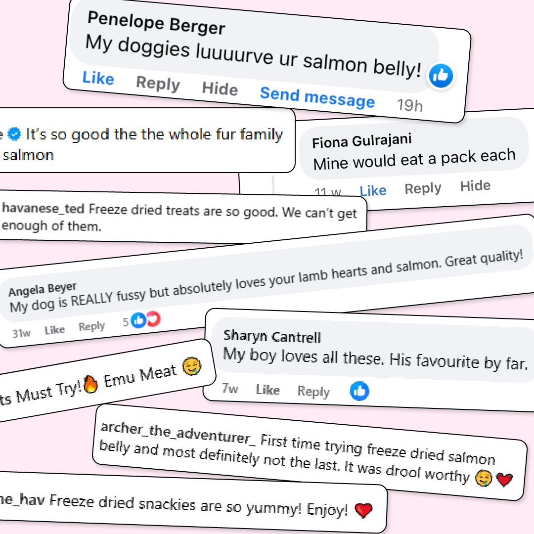 BIG Family Value Pack