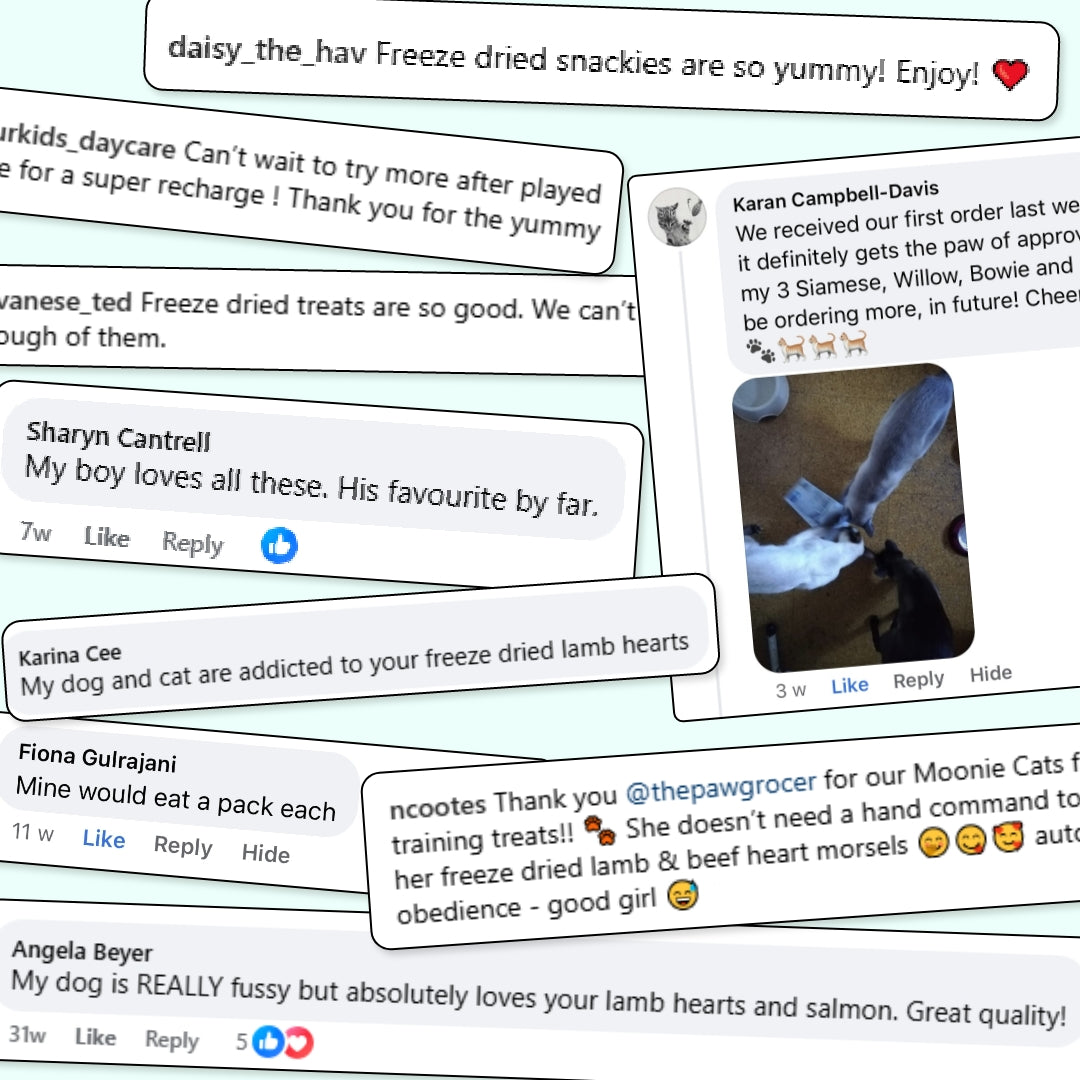 Ultimate Training Treats Value Bundle