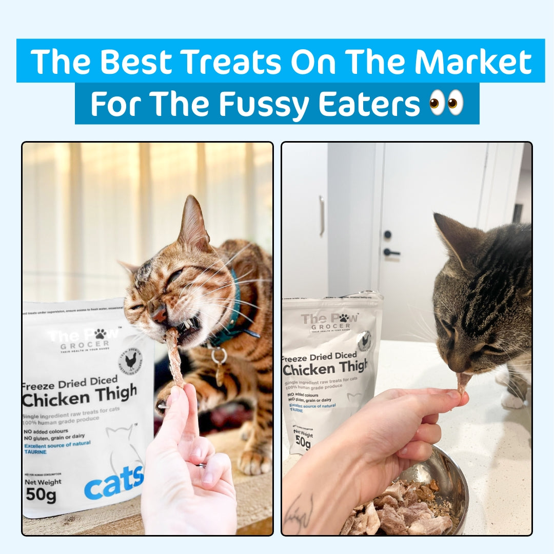 Great choice cat treats best sale