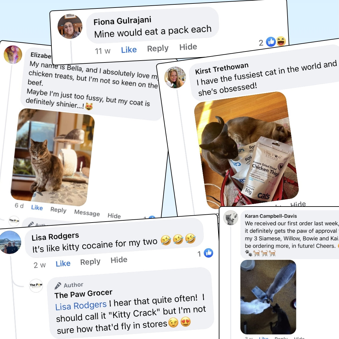 Fussy Eater's Reviews of The Paw Grocer Freeze Dried Lamb Hearts