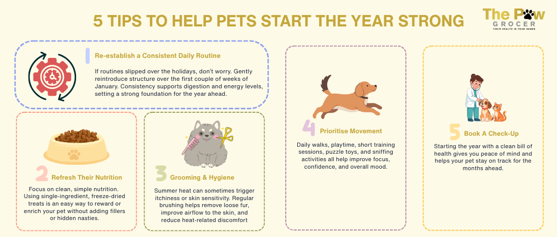 NEW YEAR, NEW PET ROUTINES: 5 TIPS TO HELP YOUR PET START THE YEAR STR ...
