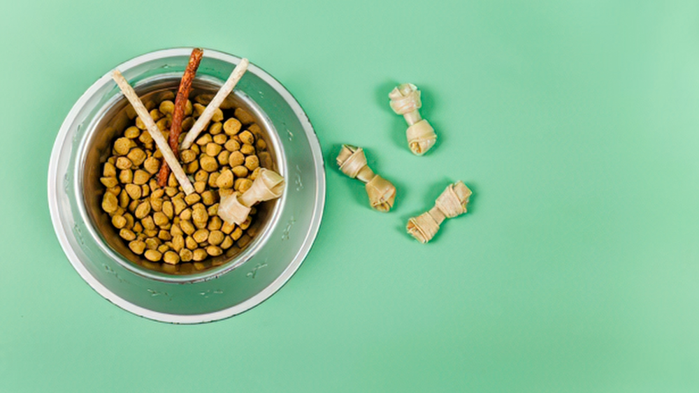 Simple Ways to Make Mealtime More Exciting for Your Pet