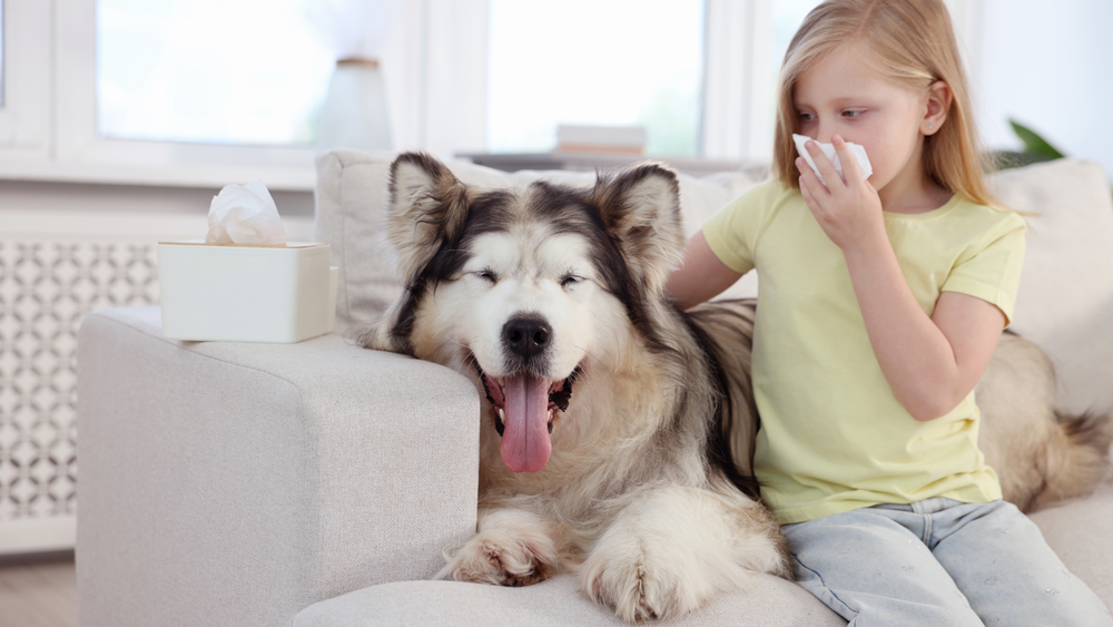 dental chews' benefits for dogs breath