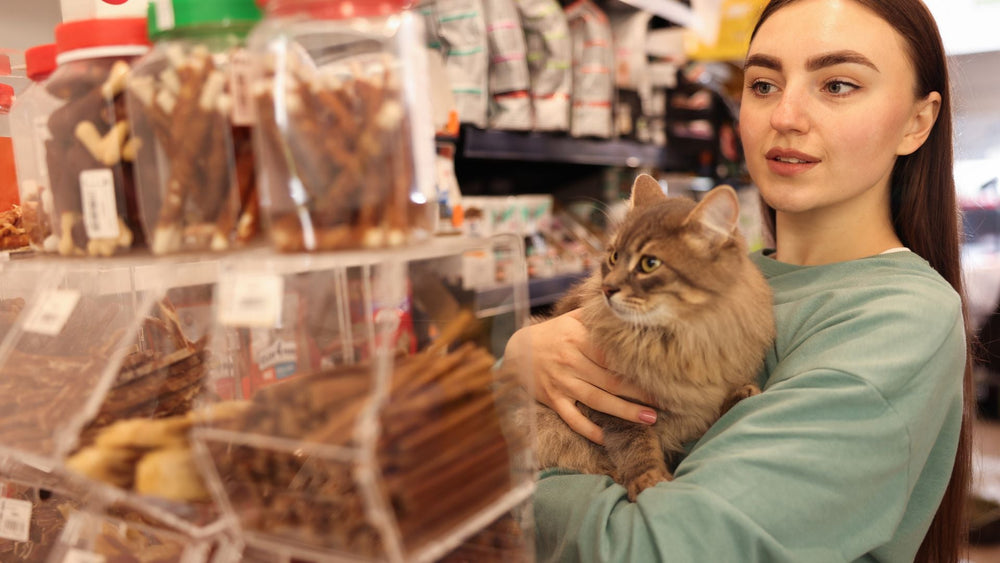 choose high quality freeze dried cat treat