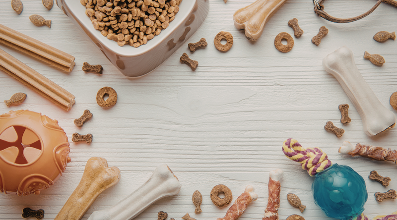 safe freeze dried treats for dogs