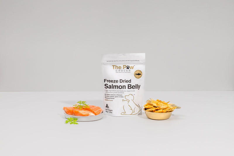 SALMON, THE NUTRITIONAL POWERHOUSE FOR YOUR PETS