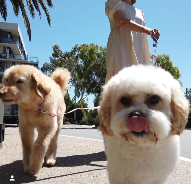 IS "FREE FEEDING" A GOOD IDEA?