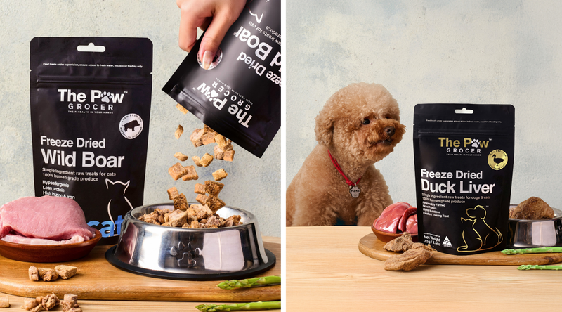 best dog treats for sensitive tummies