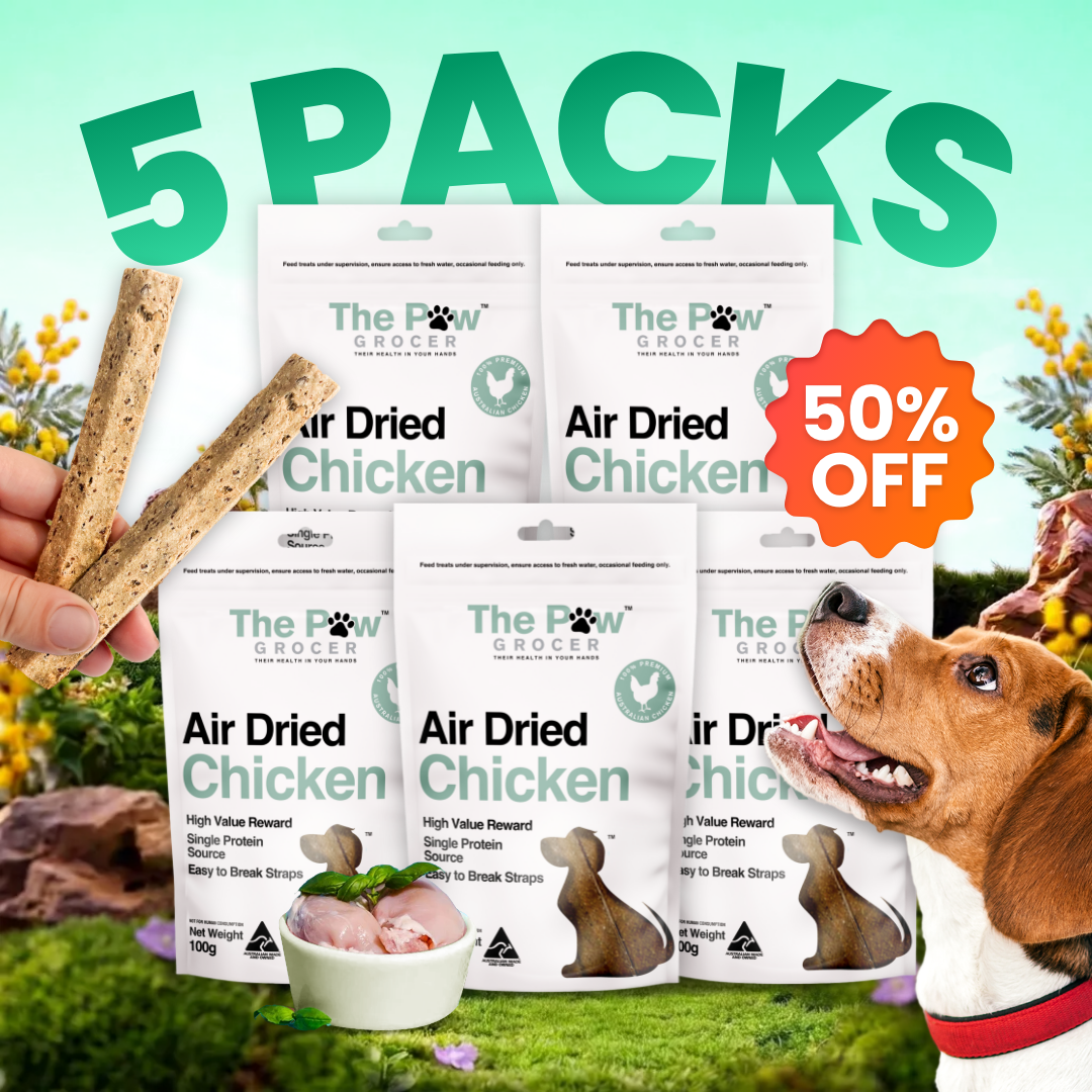 [50% OFF] Chicken Training Straps Bundle