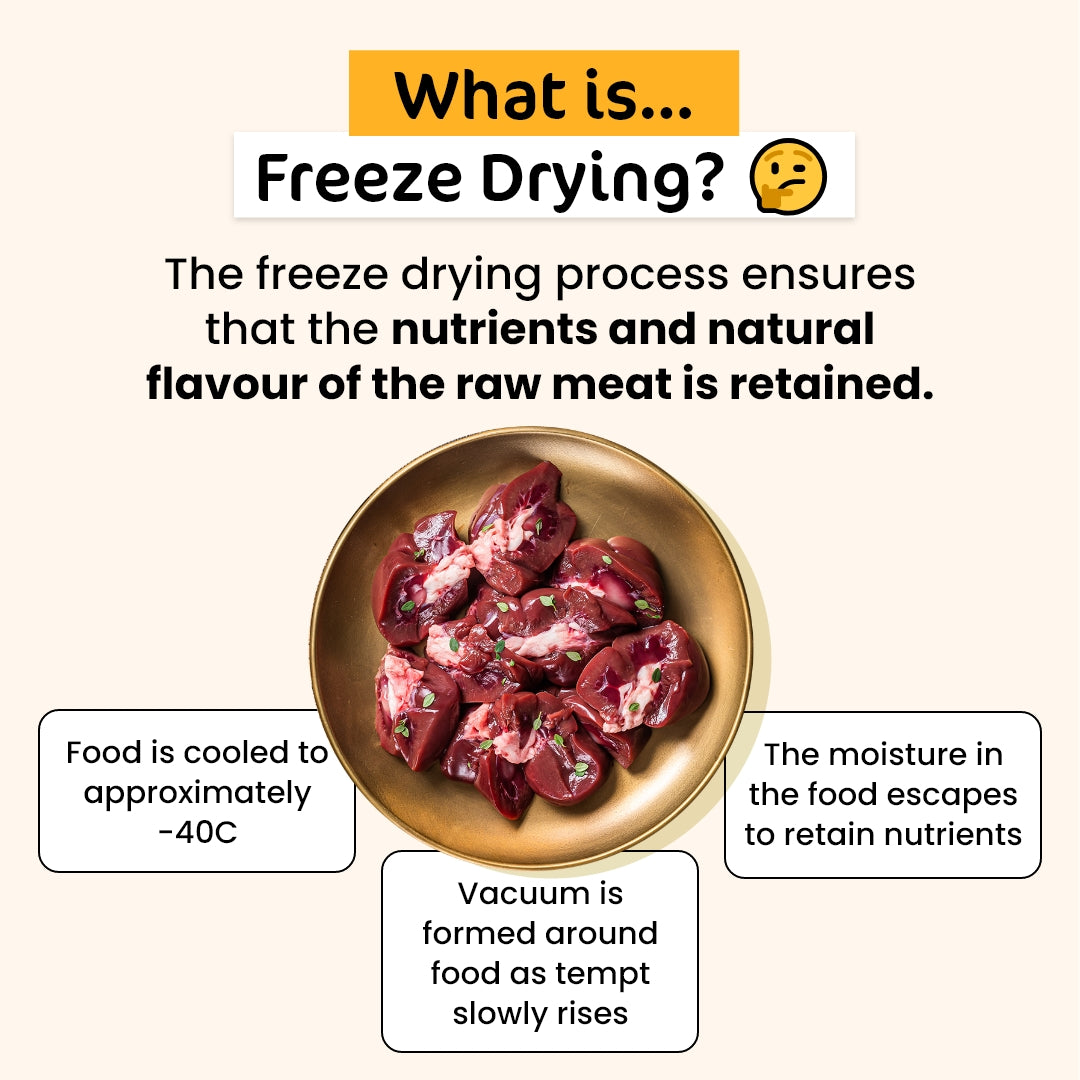 Dental Treats Value Bundle