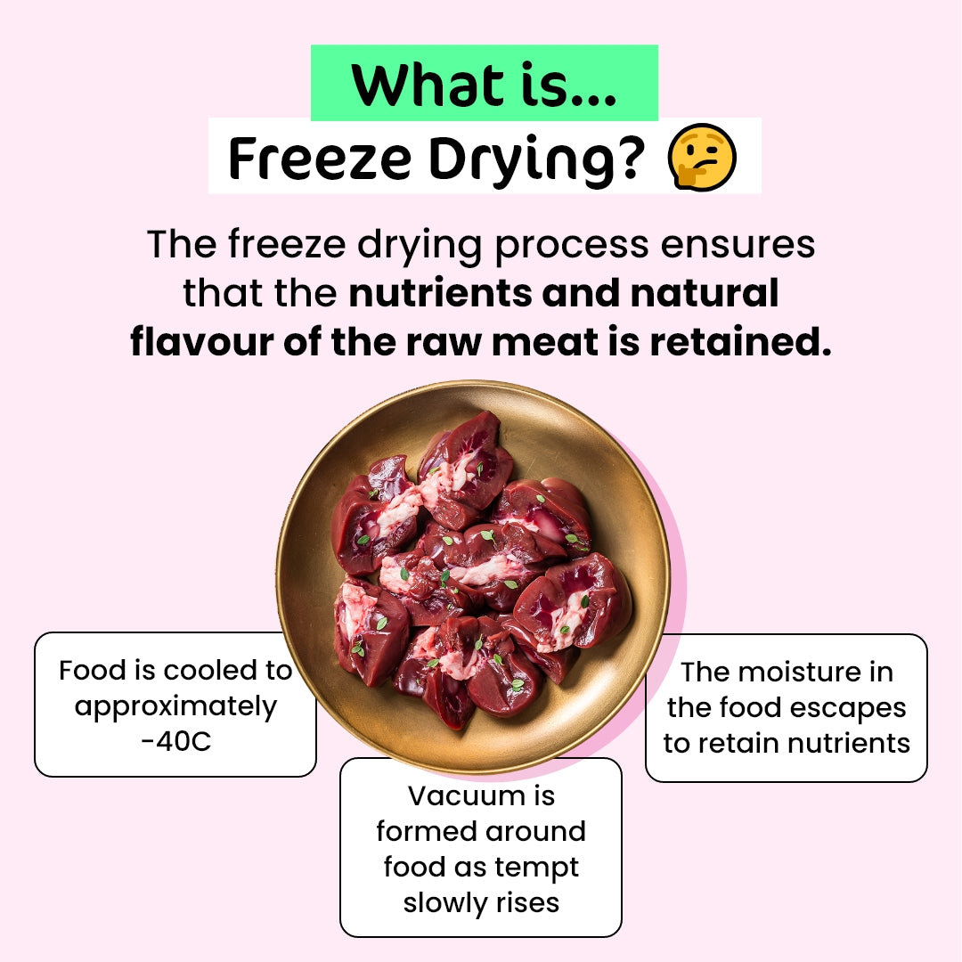 BIG Family Value Pack