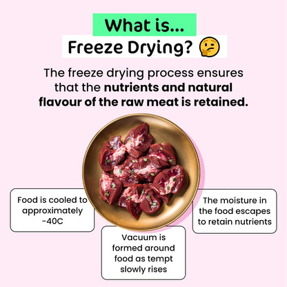 BIG Family Value Pack