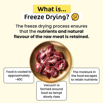 Sensitive Paws Premium Value Bundle (For Kitties)