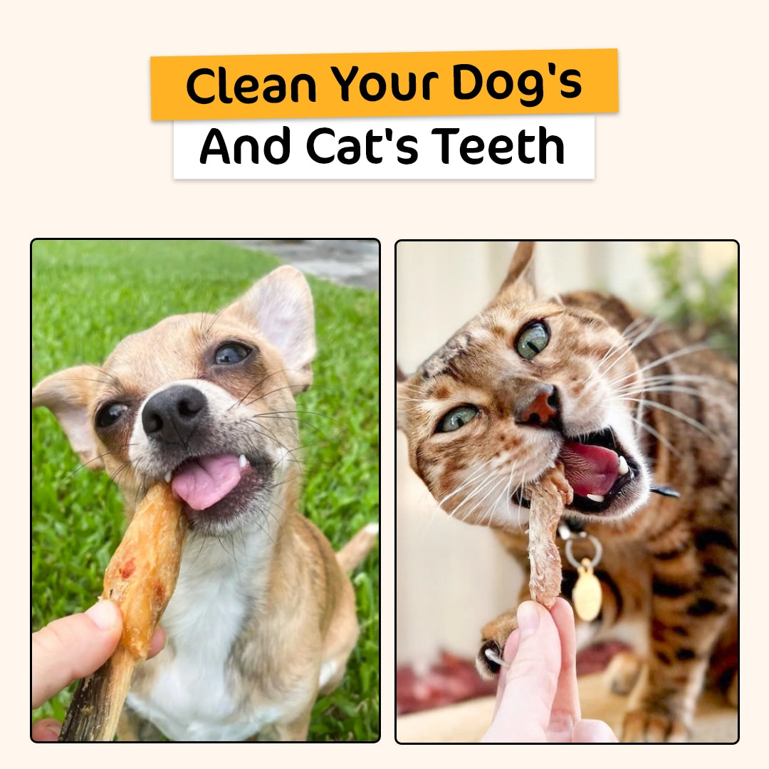 Dental Treats Value Bundle