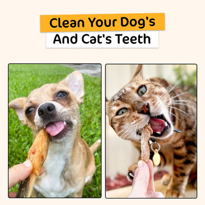 Dental Treats Value Bundle