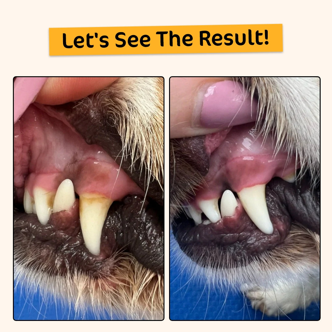 [20% OFF RRP]  Dental Treats Value Bundle [FOR DOGGOS]