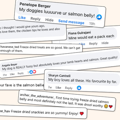 Dental Treats Value Bundle