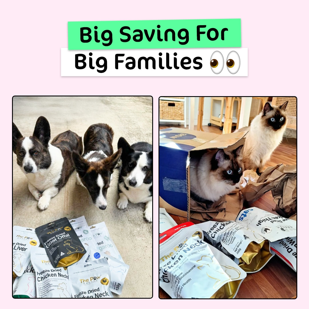 BIG Family Value Pack