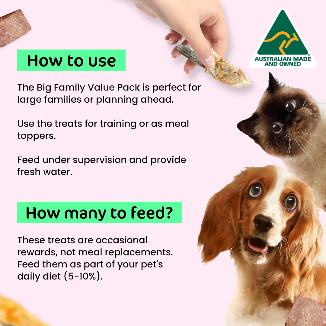 BIG Family Value Pack