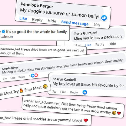 BIG Family Value Pack