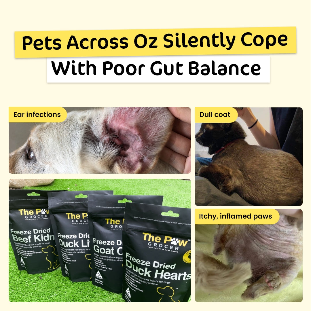 Sensitive Paws Premium Value Bundle