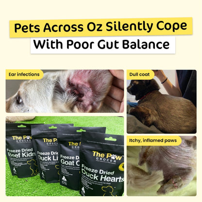 Sensitive Paws Premium Value Bundle