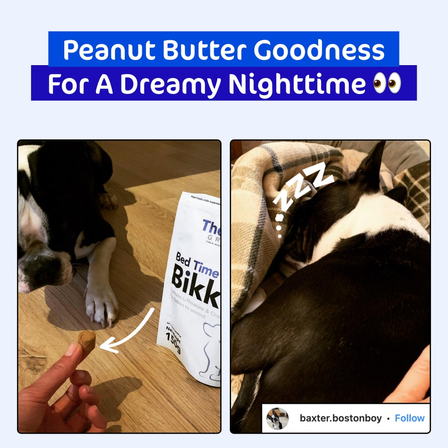 The Paw Grocer Peanut Butter Bed Time Bikkies