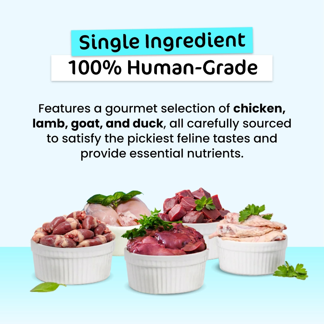 Ultimate Fussy Cat Value Bundle