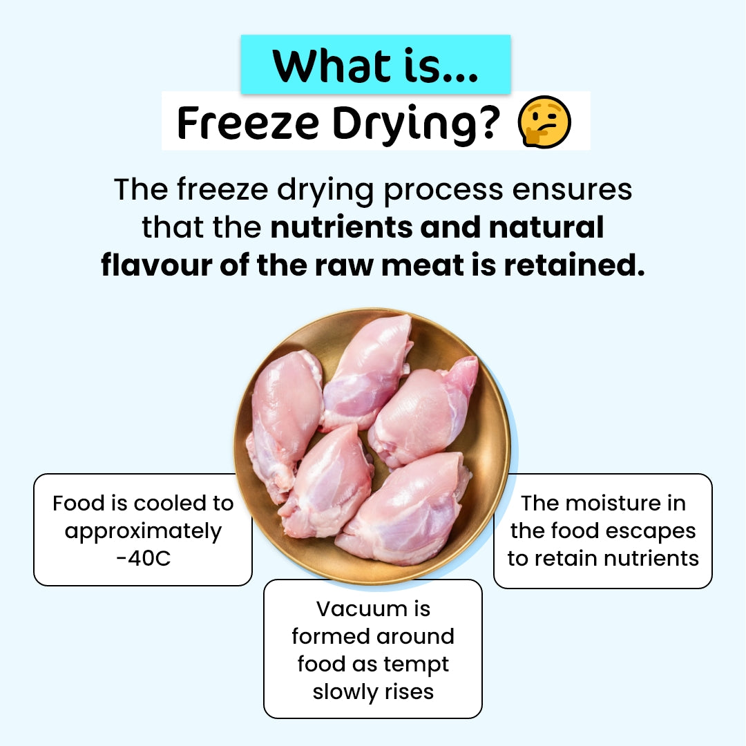 Ultimate Fussy Cat Value Bundle