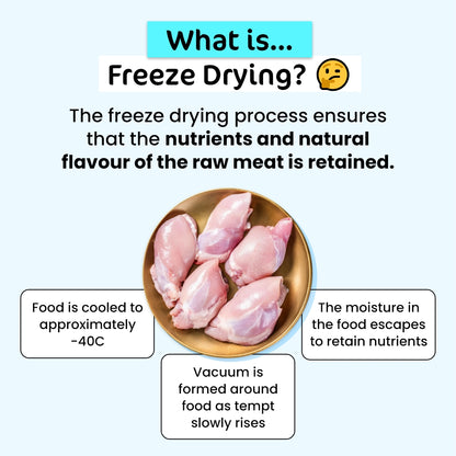 Ultimate Fussy Cat Value Bundle