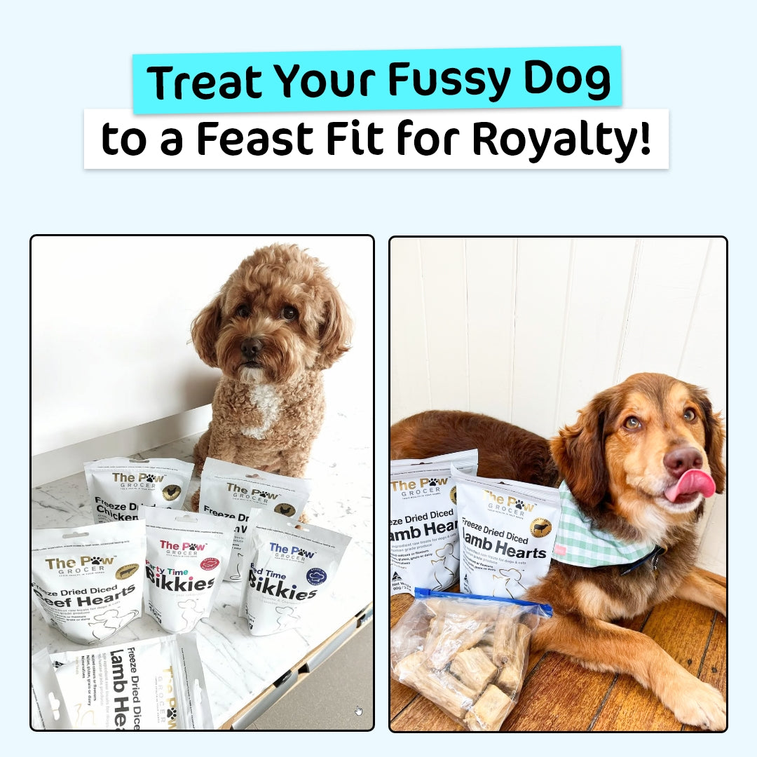 Ultimate Dog Vitality Value Bundle