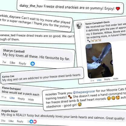 Ultimate Training Treats Value Bundle