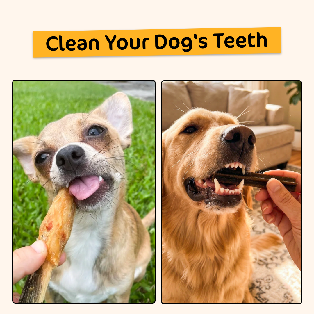 [20% OFF RRP]  Dental Treats Value Bundle [FOR DOGGOS]