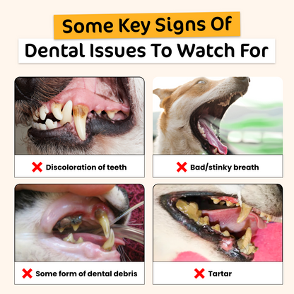 Dental Treats Value Bundle [FOR DOGGOS]