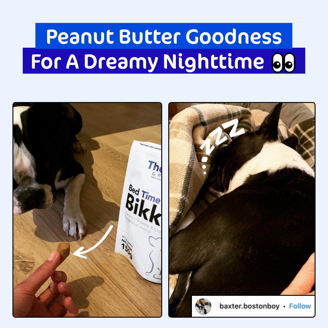 Bedtime Bikkies Bundle for Dogs