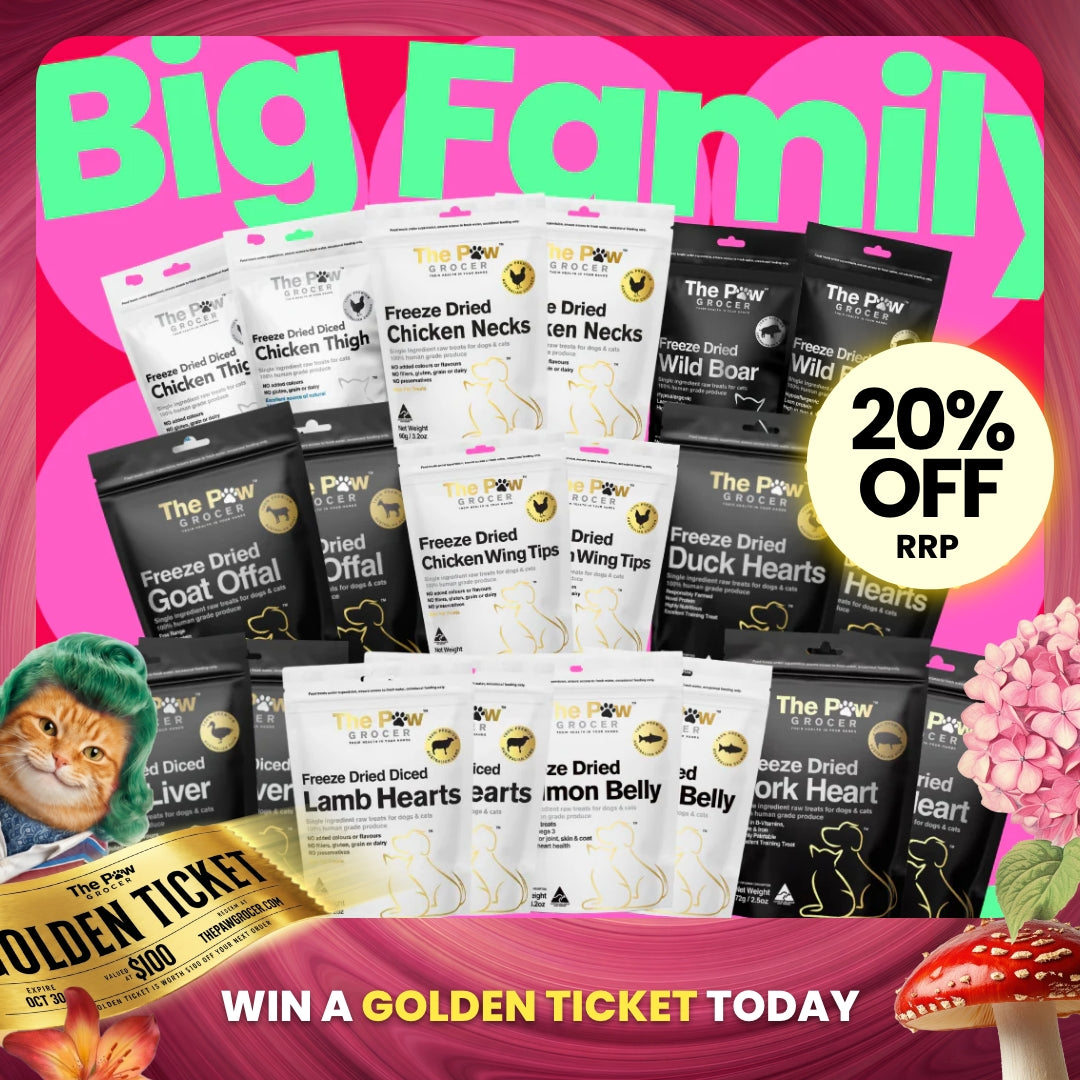 [20% OFF RRP]  BIG Family Value Pack