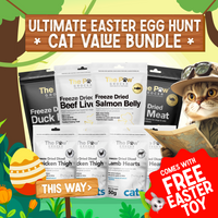 Kitty Ultimate Easter Egg Hunt Bundle