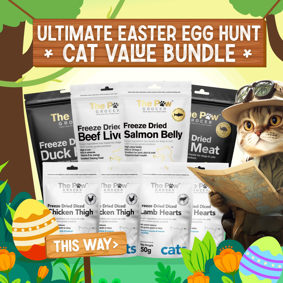 Kitty Ultimate Easter Egg Hunt Bundle | FREE SHIPPING