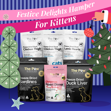 Kitten Festive Delights Hamper