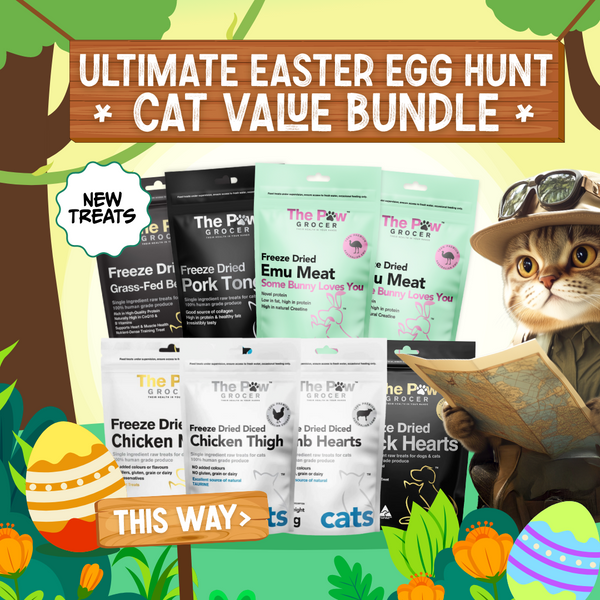 Kitty Ultimate Easter Egg Hunt Bundle