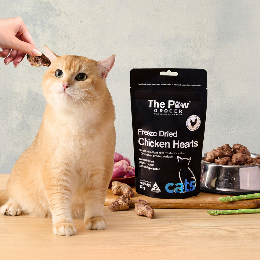 Premium Freeze-Dried Chicken Hearts for Cats - 50g