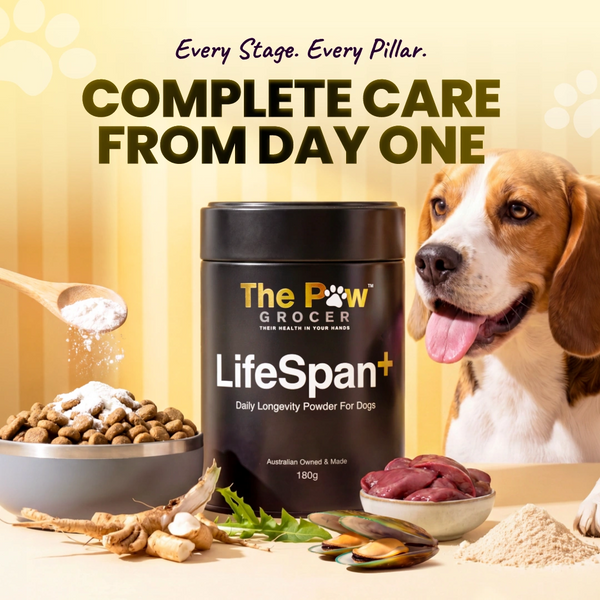 [Pre-Order] LifeSpan+