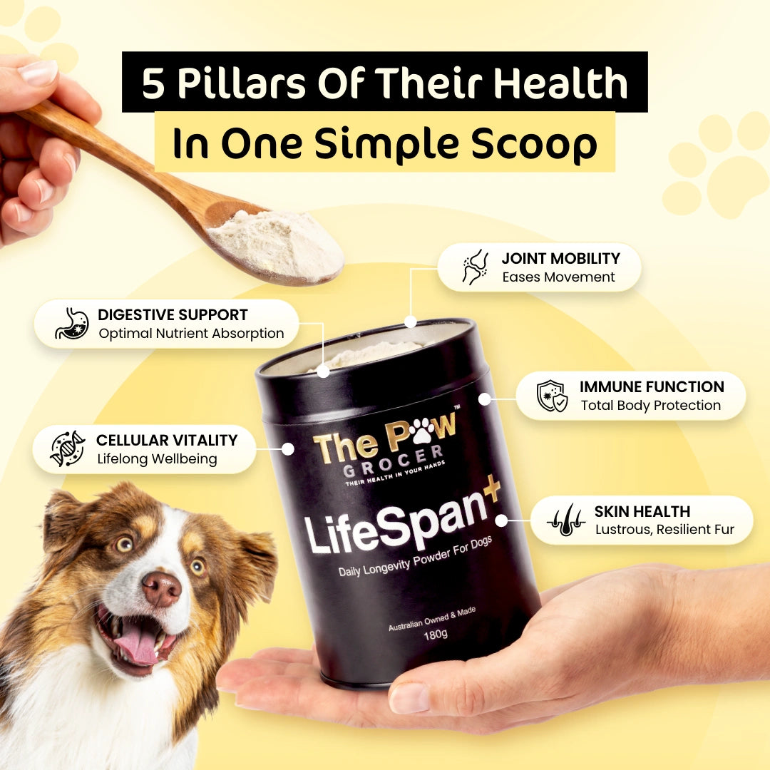 [Pre-Order] LifeSpan+