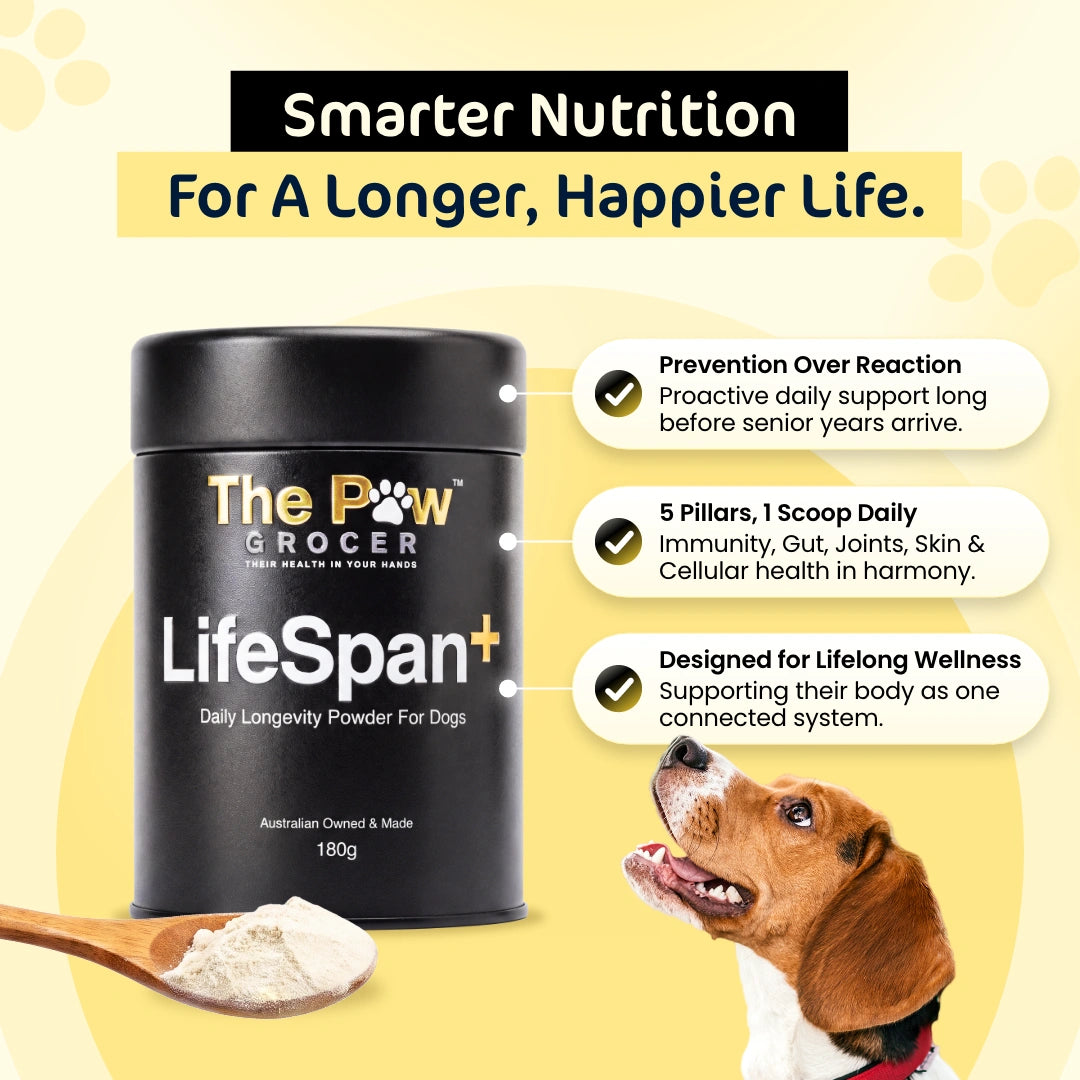 [Pre-Order] LifeSpan+
