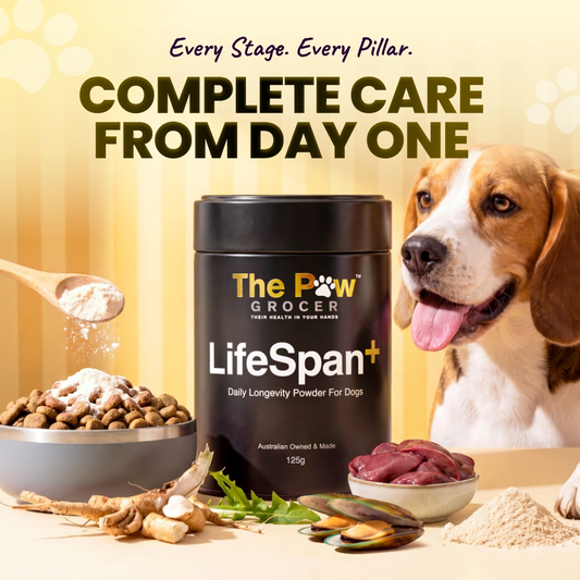 [Pre-Order] LifeSpan+