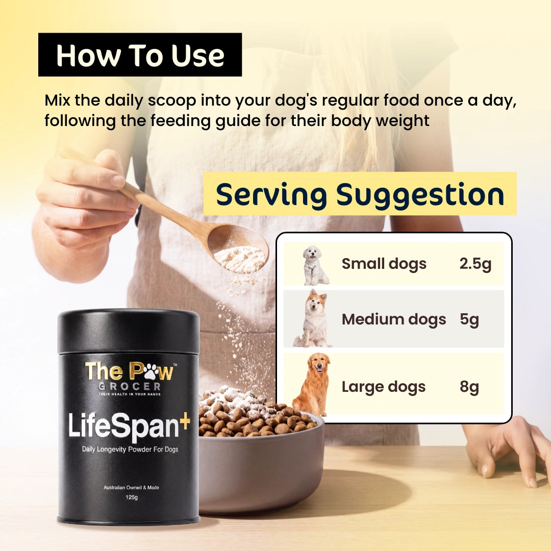 [Pre-Order] LifeSpan+