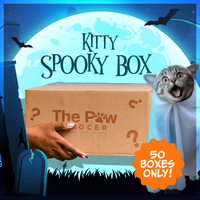 Kitty Spooky Box 👻 | 50 BOXES ONLY