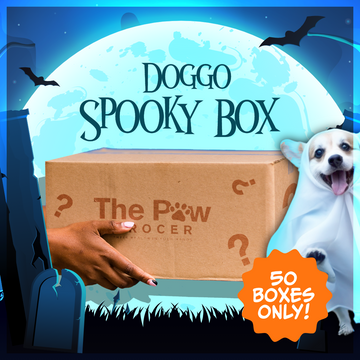 Doggo Spooky Box 👻 | 50 BOXES ONLY