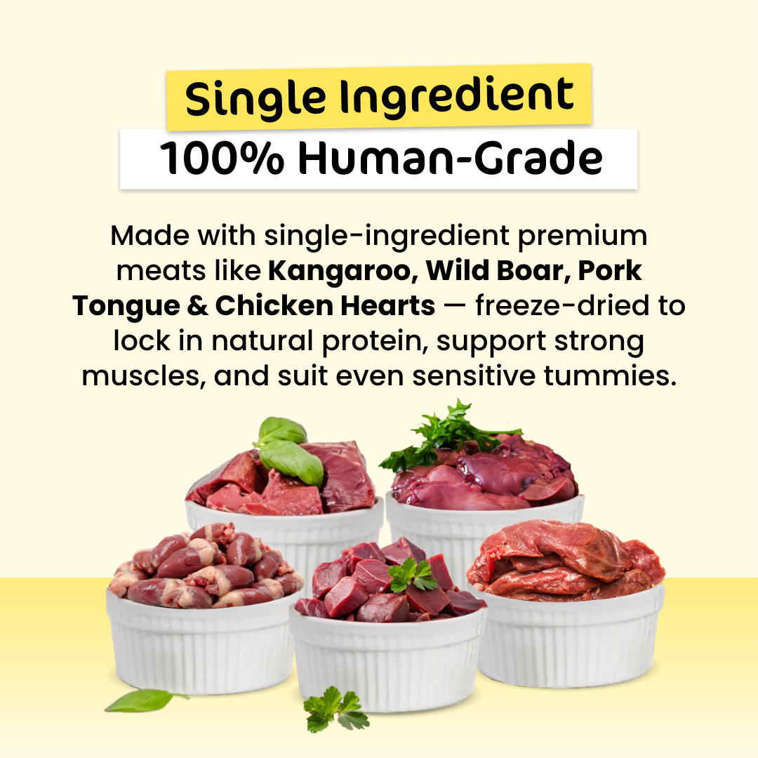 Sensitive Paws Premium Value Bundle (For Kitties)